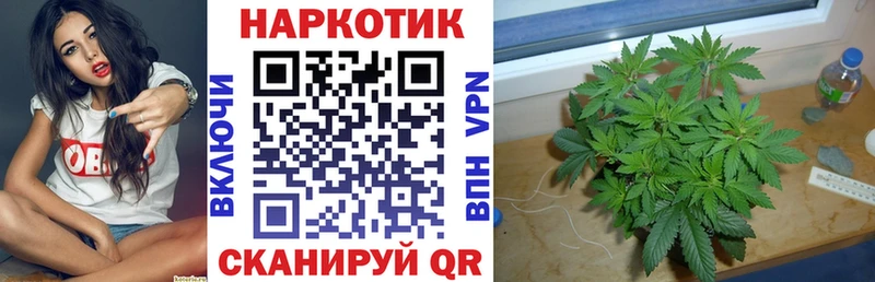 Где продают наркотики Княгинино ГАШ  СК  ЭКСТАЗИ  OMG ТОР  Меф  COCAIN 