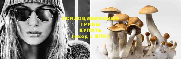 экстази Бородино