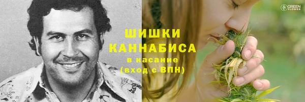 экстази Бородино