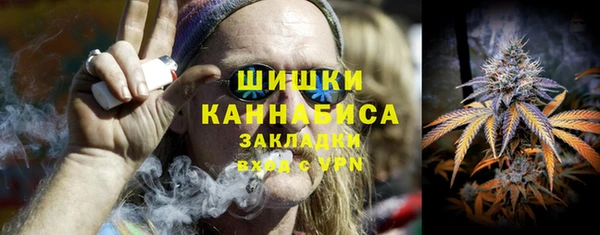 шишки Богородицк