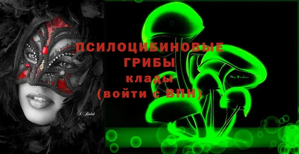 apvp Бугульма
