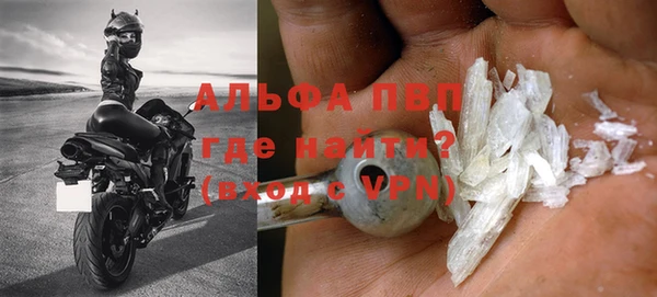 экстази Бородино