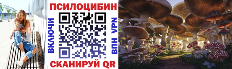Псилоцибиновые грибы GOLDEN TEACHER  Княгинино 