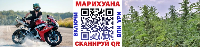 Канабис индика  Княгинино 
